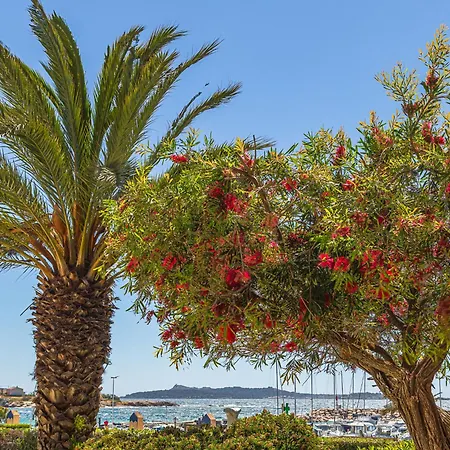 Les Rivages De Coudouliere-7 By Interhome Apartment Six-Fours-les-Plages